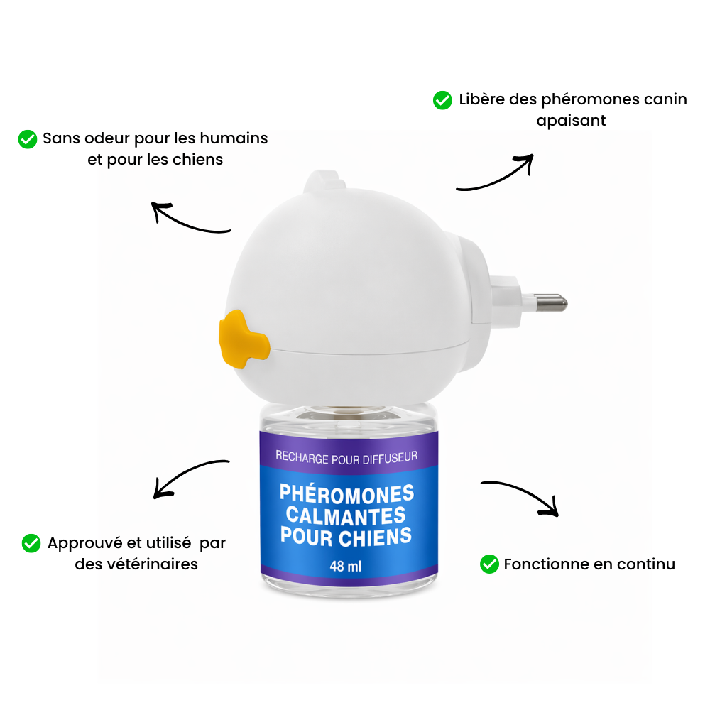 Diffuseur + 2 recharges