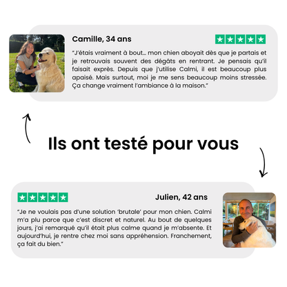 Diffuseur + 2 recharges